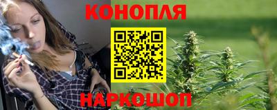прущие крисы Моздок