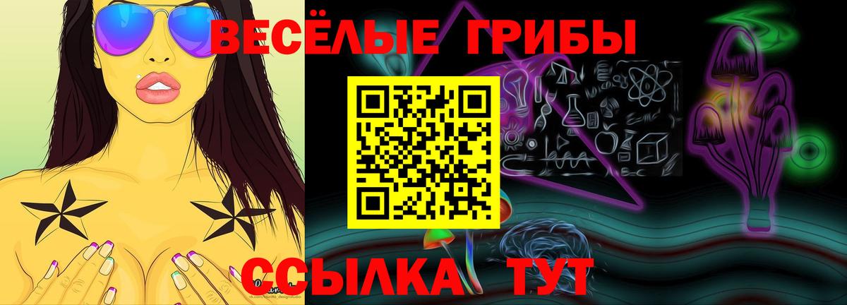 Рассказово  Галлюциногенные грибы ЛСД  купить наркотик  Вход с VPN 